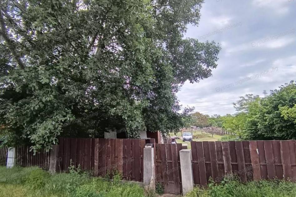 3705980