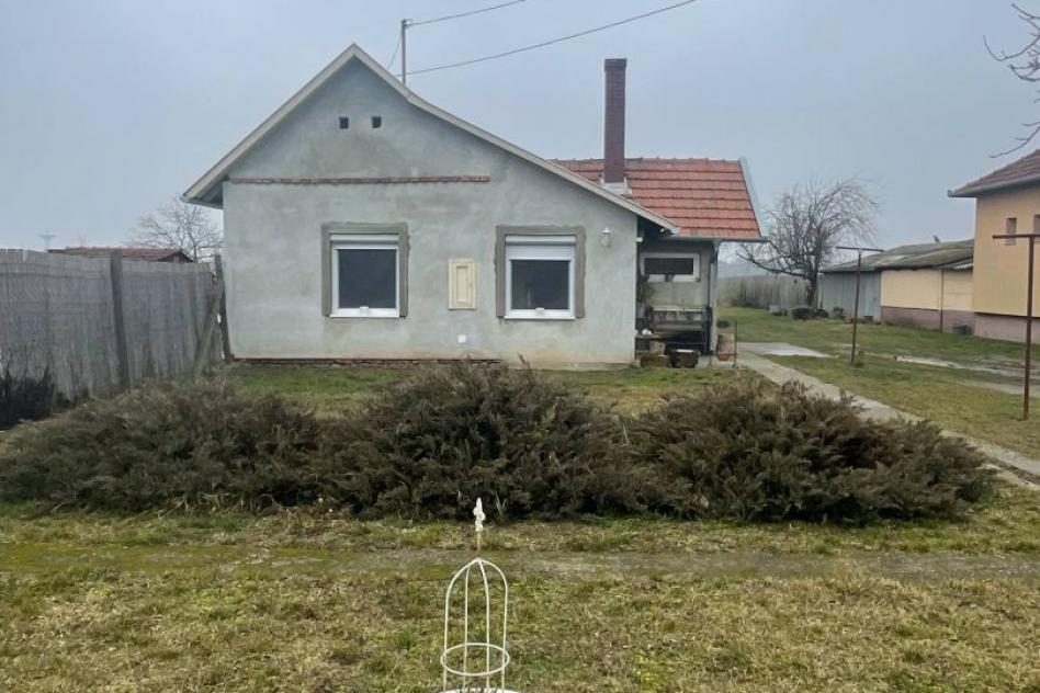3713254